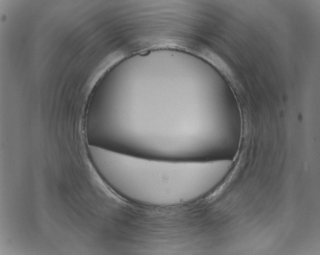 X0000074020806200608211107