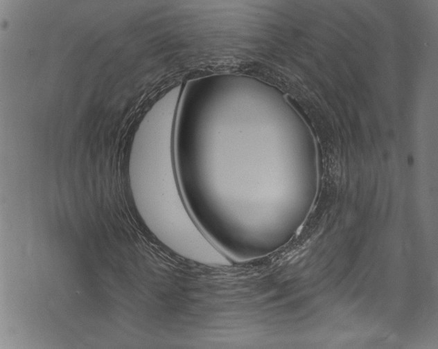 X0000074020818200608211106