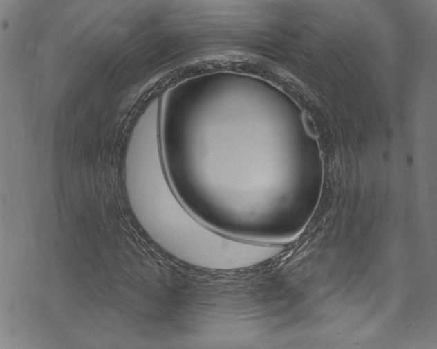 X0000074020822200608211106