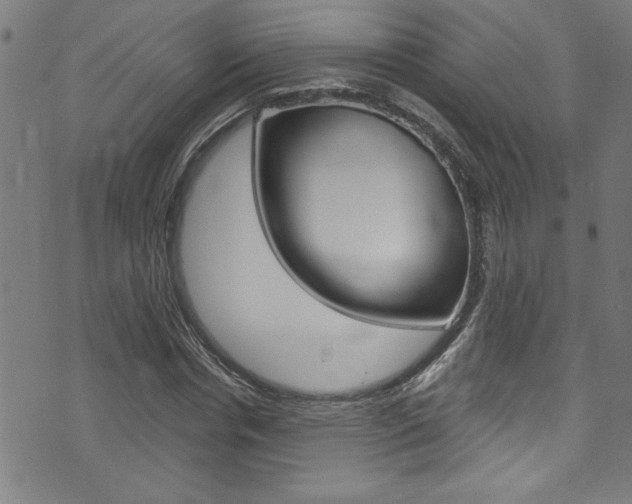 X0000074020826200608211106