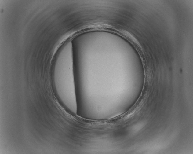 X0000074020831200608211106