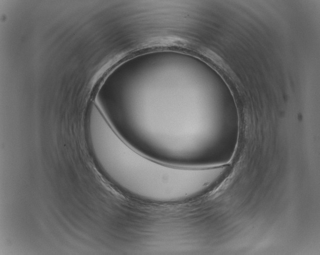 X0000074020834200608211106