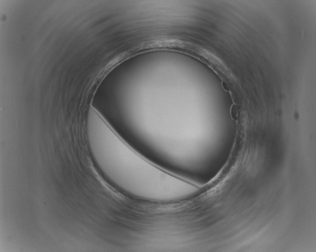 X0000074020841200608211107