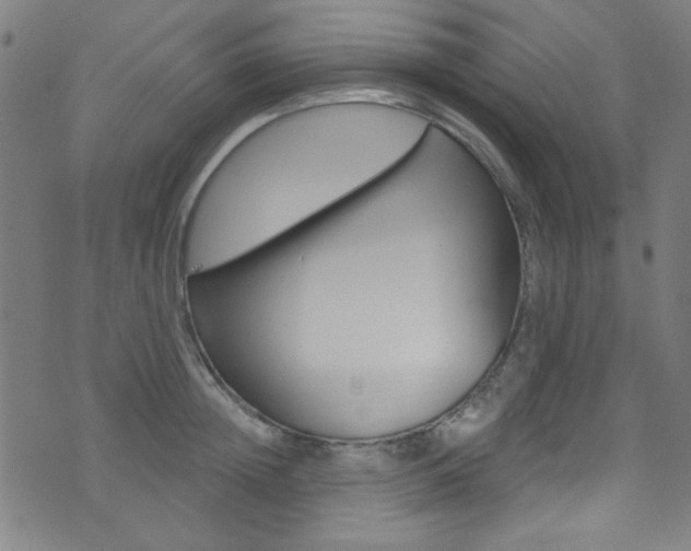 X0000074020852200608211107