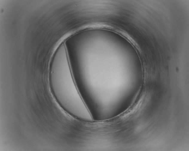 X0000074020853200608211107