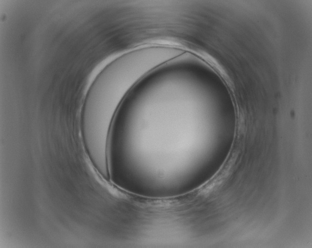 X0000074020862200608211107