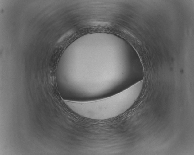 X0000074020869200608211106