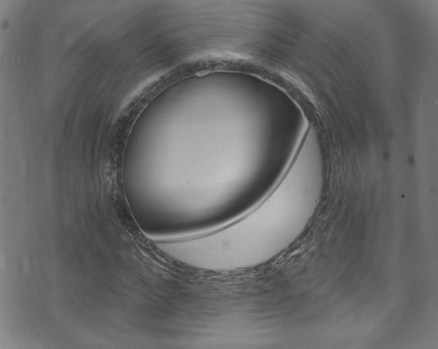 X0000074020872200608211106