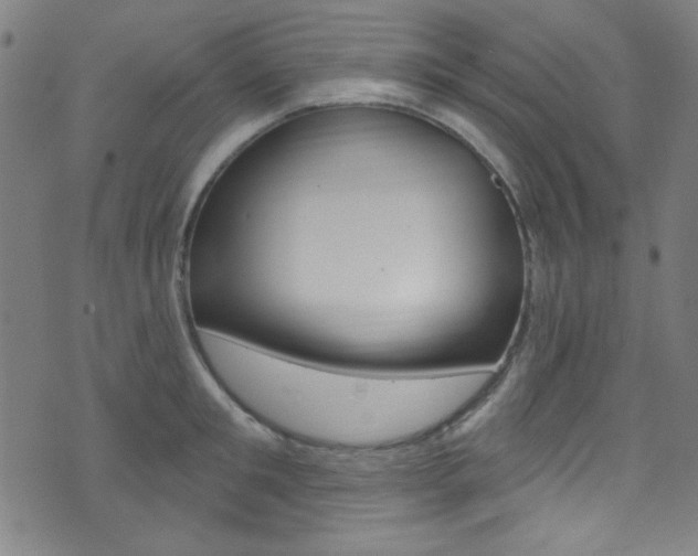 X0000074020901200608211106