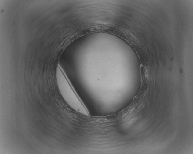 X0000074020915200608211105