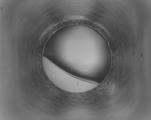 X0000074020919200608211105