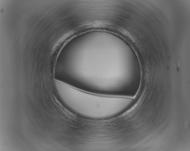 X0000074020922200608211105