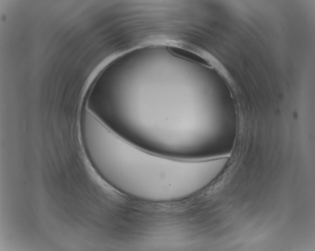 X0000074020955200608211105
