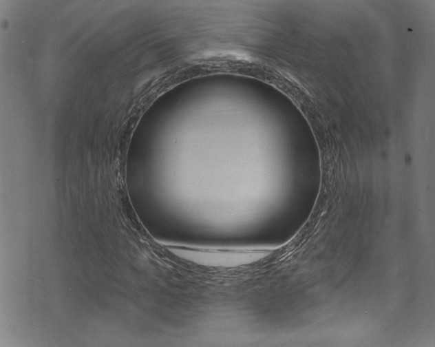 X0000074020965200608211104