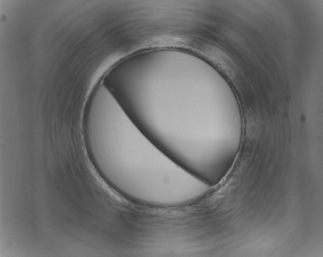 X0000074020990200608211104