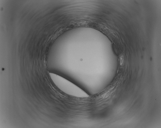 X0000074021011200608211103