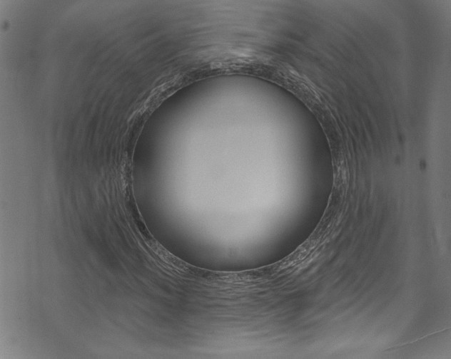 X0000074021012200608211103