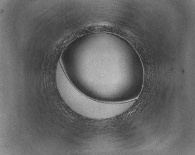 X0000074021014200608211103