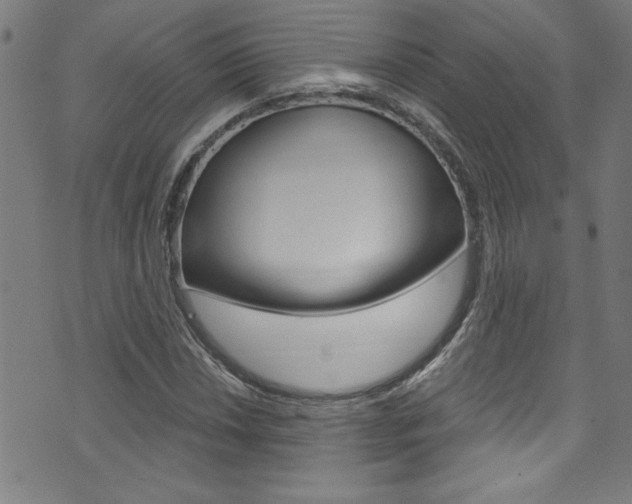 X0000074021018200608211103