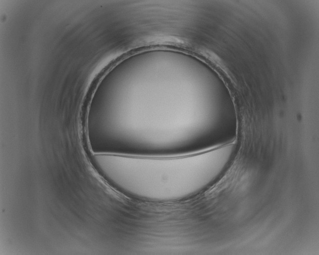 X0000074021024200608211103