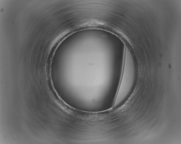 X0000074021026200608211103
