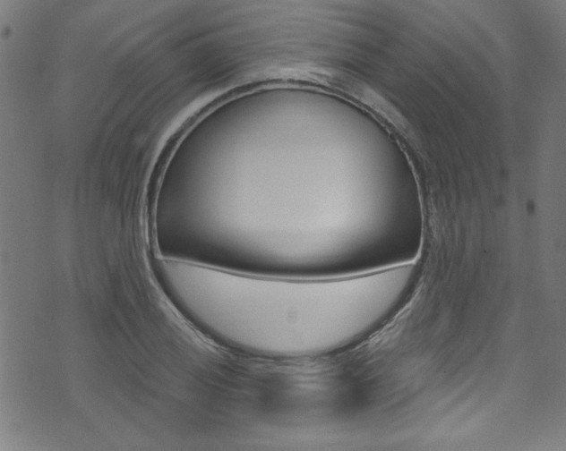 X0000074021028200608211103