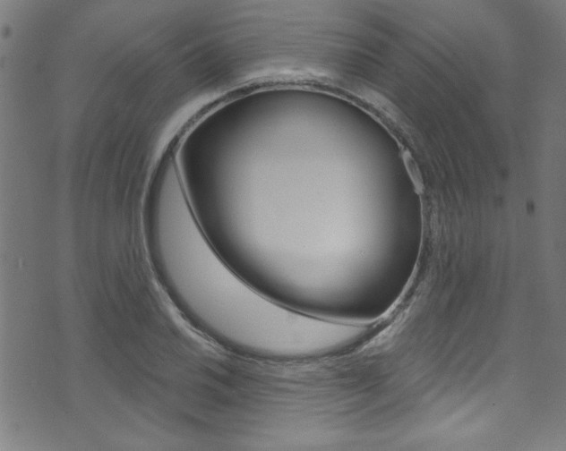 X0000074021030200608211103