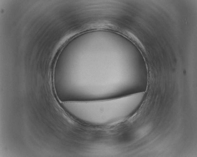 X0000074021035200608211103