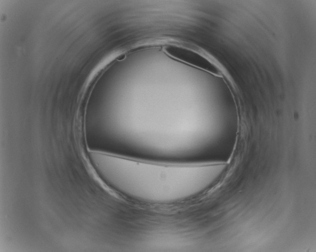 X0000074021053200608211104