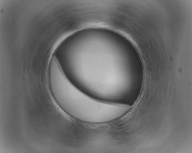 X0000074021056200608211104