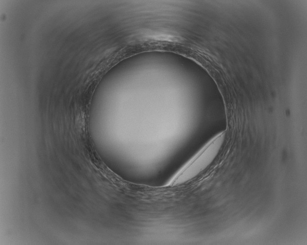 X0000074021061200608211103