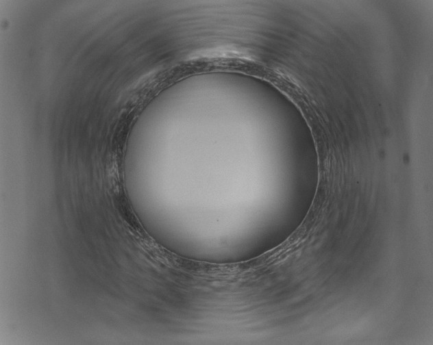 X0000074021062200608211103