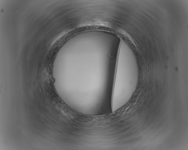 X0000074021064200608211103