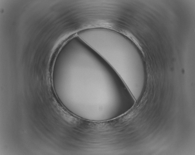 X0000074021072200608211103