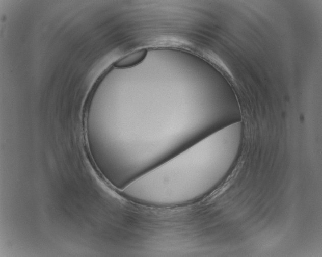 X0000074021087200608211102
