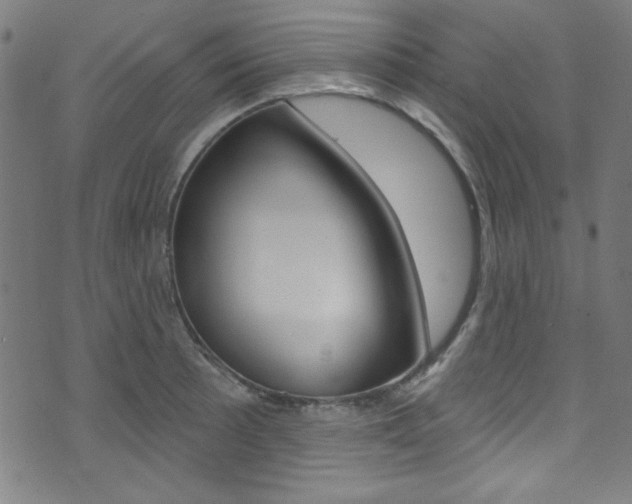 X0000074021089200608211102