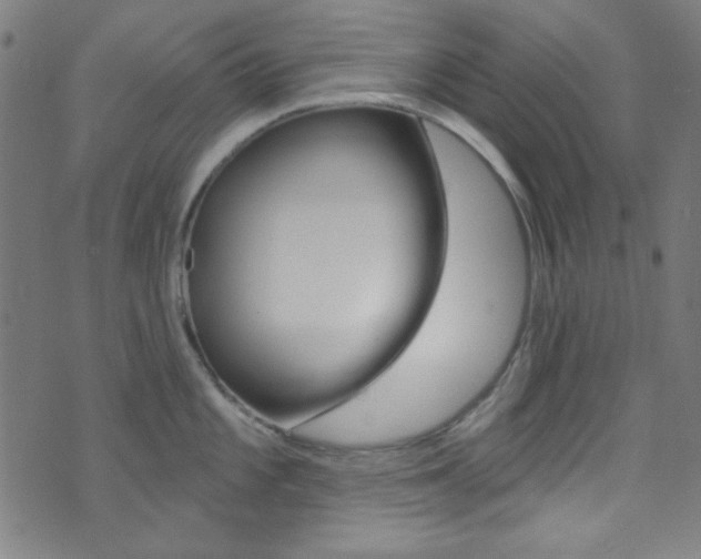 X0000074021101200608211102