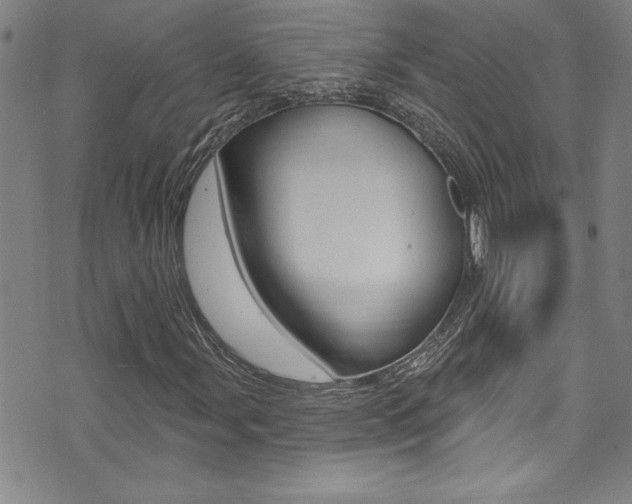 X0000074021107200608211101