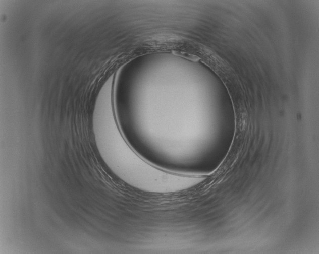 X0000074021108200608211101