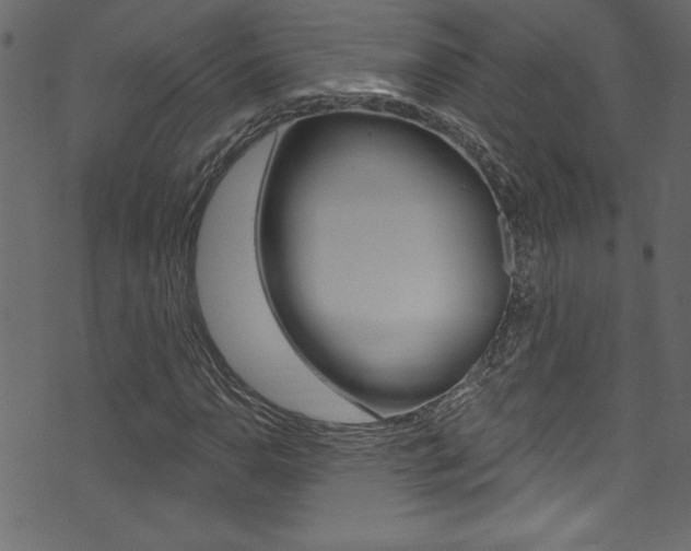 X0000074021110200608211101