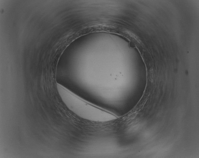 X0000074021111200608211101