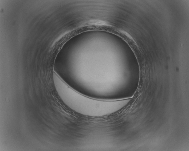 X0000074021112200608211101