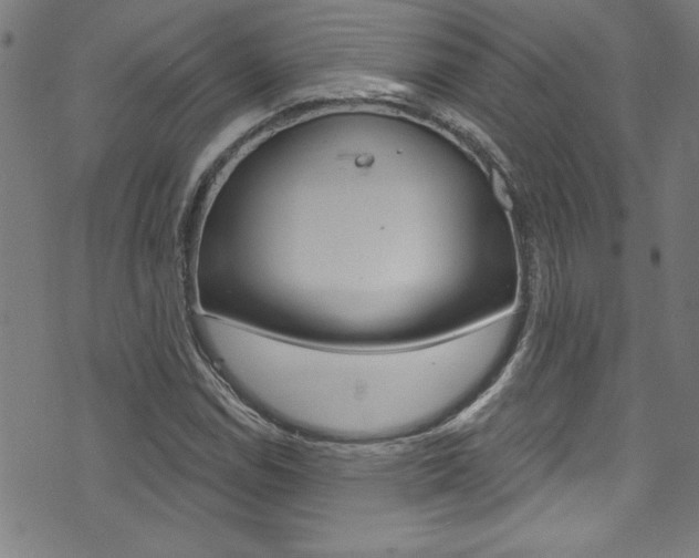 X0000074021114200608211102