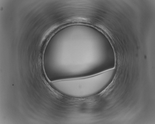 X0000074021115200608211102