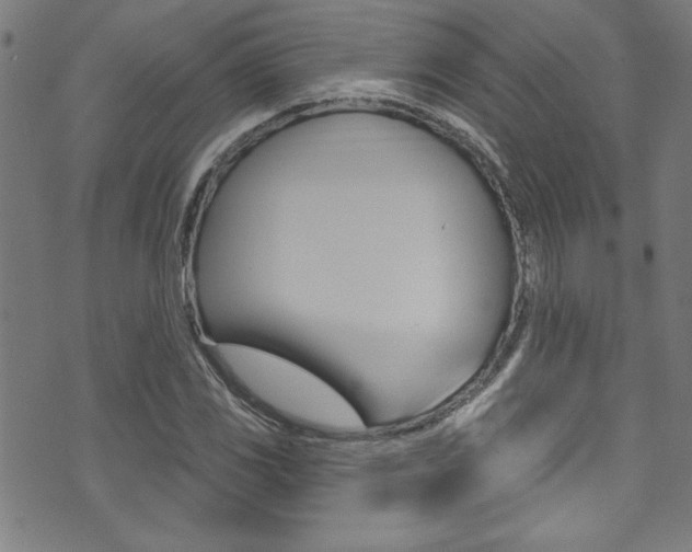X0000074021117200608211102