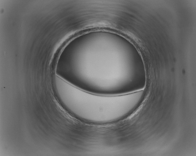 X0000074021118200608211102