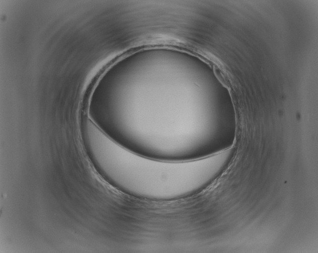 X0000074021120200608211102
