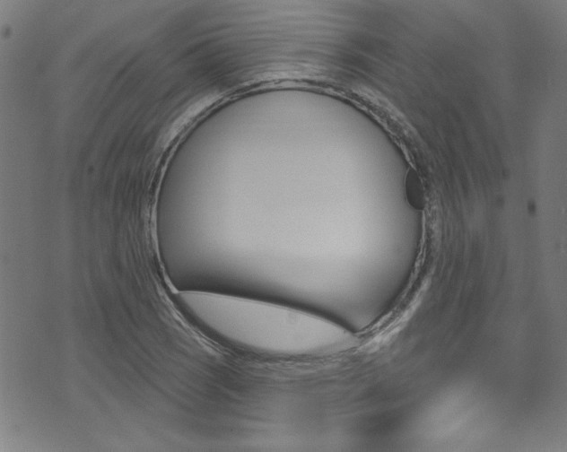 X0000074021121200608211102