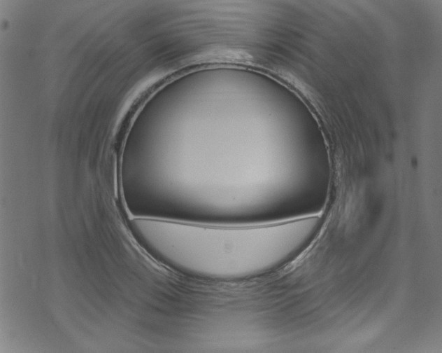 X0000074021123200608211102