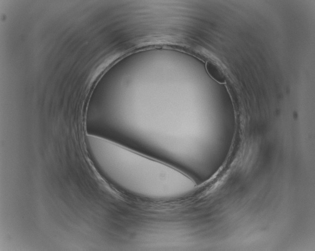 X0000074021129200608211102